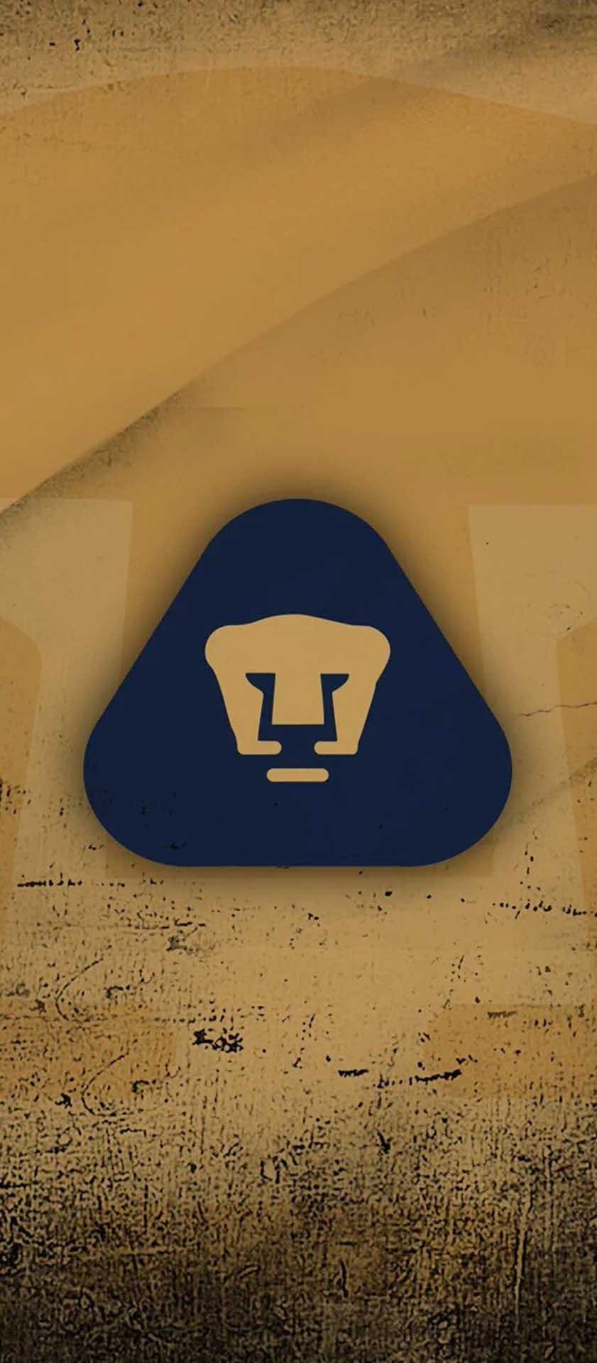 Pumas UNAM jerseys and merchandise